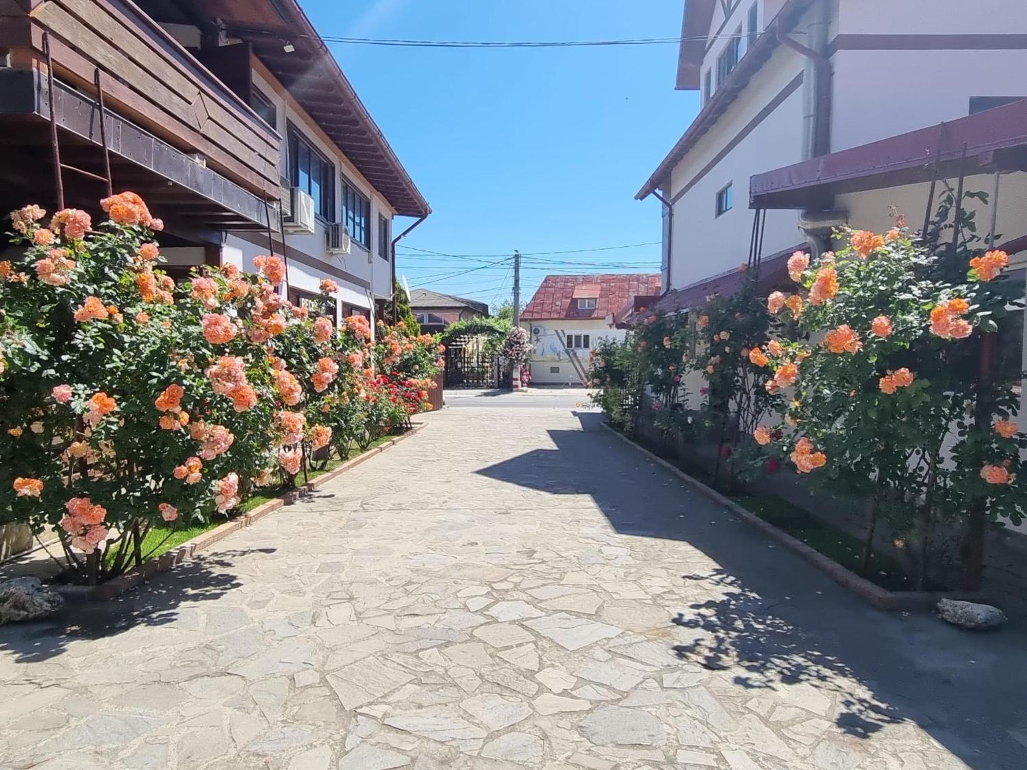 Casa Luca Hotel Vama Veche Exterior foto